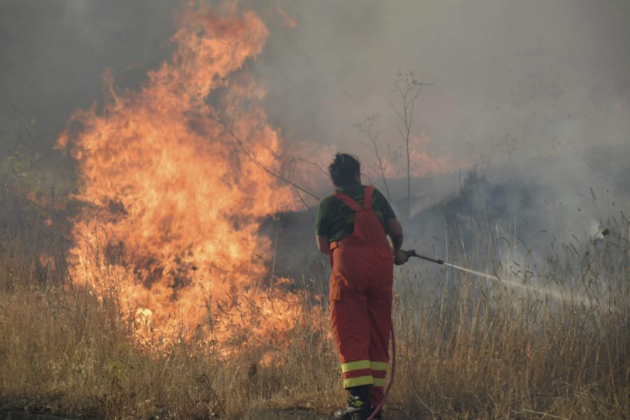 Sicily Wildfires