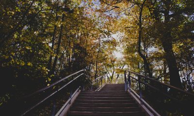 Nadine shaabana q Acq Rg W Qem M unsplash1