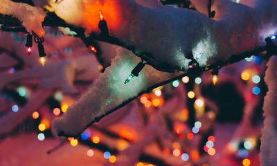 Kelly sikkema 475107 unsplash