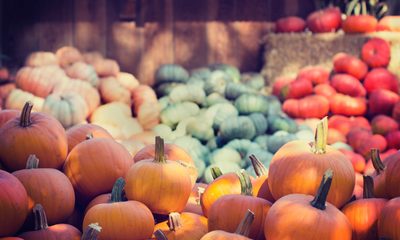 Local Farms Blog 2