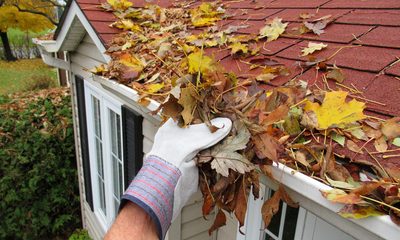 Fall Maintenance