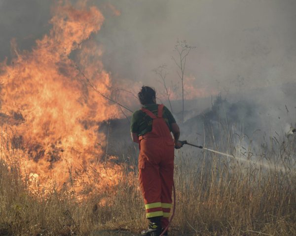 Sicily Wildfires