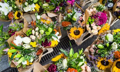 Georg eiermann m6tn A Oyh Sw Y unsplash